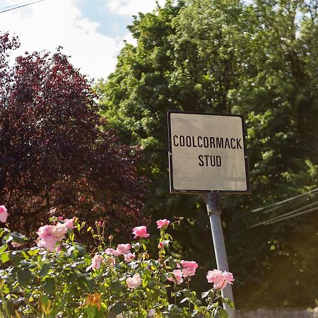 Coolcormack Stud B&B Dungarvan  Exterior foto